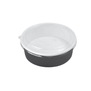 Generic Medium Salad Box